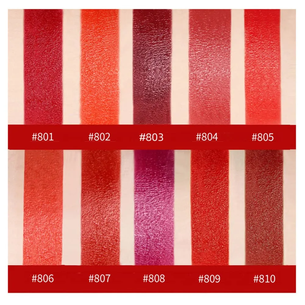 10 Colos Matte Liquid Lipstick, Ladies Matte Liquid Lipstick Long Lasting Waterproof Velvet Red Lipstick Lip Gloss Set Pigmented Lip Makeup for Girls and Women Gift (805#)