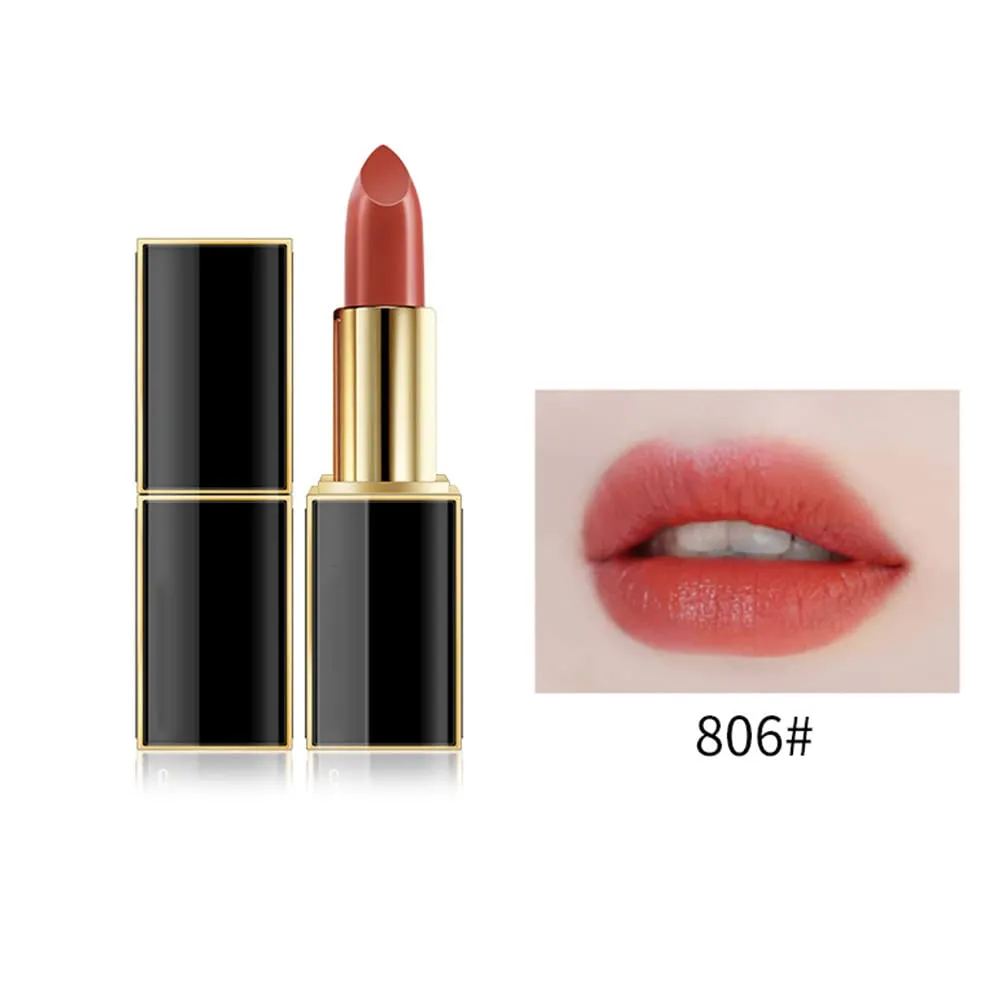10 Colos Matte Liquid Lipstick, Ladies Matte Liquid Lipstick Long Lasting Waterproof Velvet Red Lipstick Lip Gloss Set Pigmented Lip Makeup for Girls and Women Gift (806#)