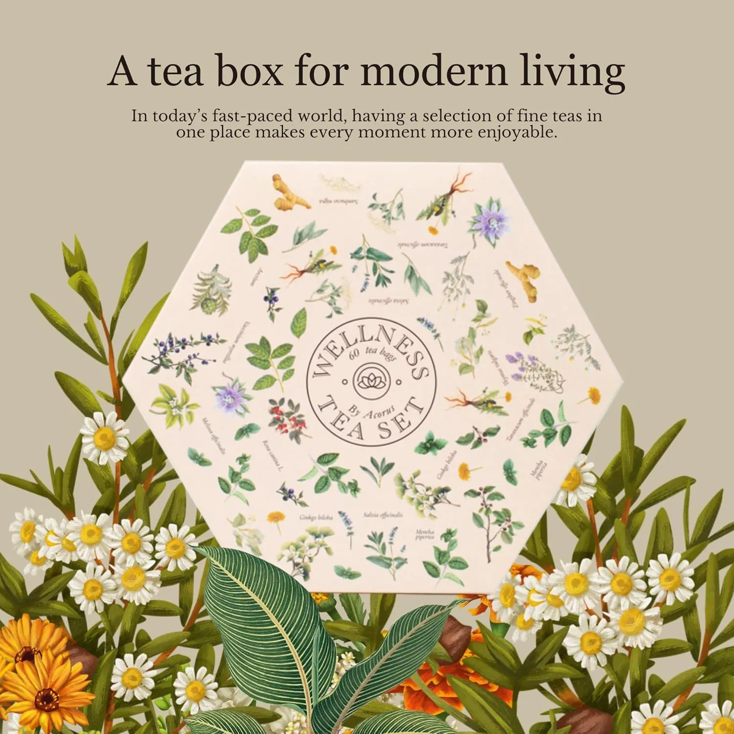 ACORUS Wellness Tea Set – Natural Herbal Tea Variety Pack, Gift Set of 6 Different Teas, 60 Bags Individually Wrapped, Herbal Sampler Box, Harmonious Balance of Taste & Aroma