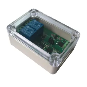 DSD TECH 2 Channel Bluetooth 4.0 BLE Relay Module for iPhone and Android(12V)