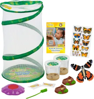 Insect Lore Butterfly Garden - 8" Habitat Gift Set | Two Cups of Live Caterpillars | 10 Live Painted Lady Baby Caterpillars | Stickers, Wind Up Toy and More | Birthday or Teacher Gift Set