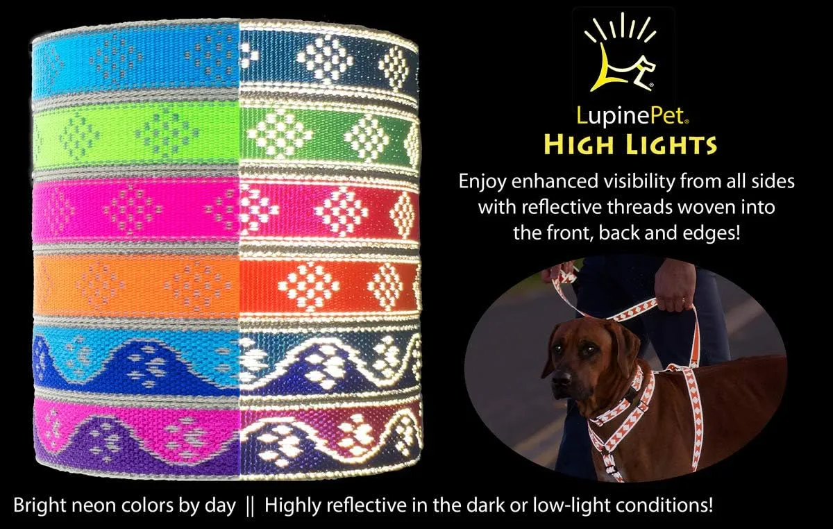 Lupine Reflective Dog Collar 1" Wide Blue Paws Adjusts from 12" to 20"