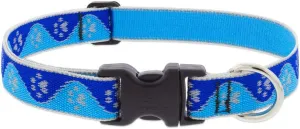 Lupine Reflective Dog Collar 1" Wide Blue Paws Adjusts from 12" to 20"