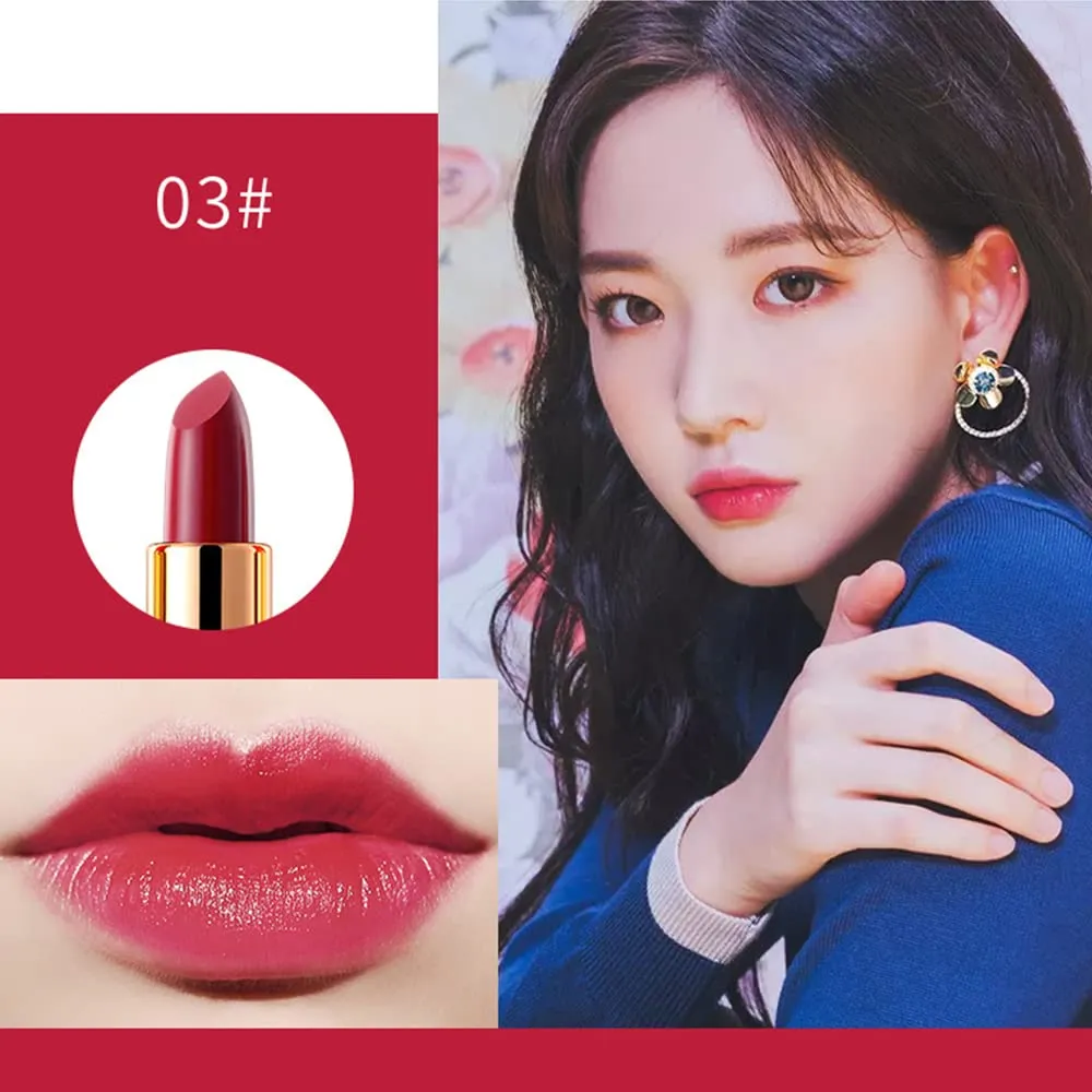 Matte Lipstick, 6 Colos Ladies Matte Lipstick Long Lasting Waterproof Velvet Red Lipstick Lip Gloss Set Pigmented Lip Makeup for Girls and Women Gift (03#)