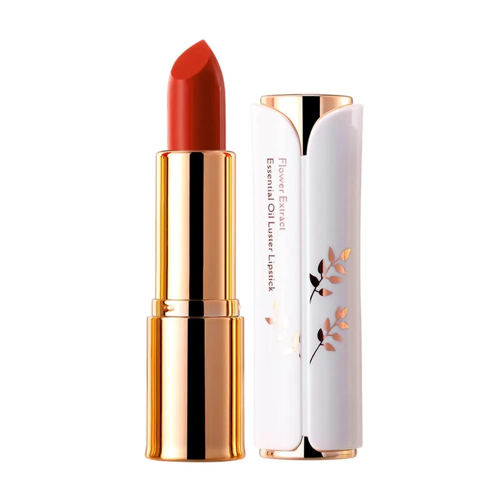 Matte Lipstick, 6 Colos Ladies Matte Lipstick Long Lasting Waterproof Velvet Red Lipstick Lip Gloss Set Pigmented Lip Makeup for Girls and Women Gift (04#)