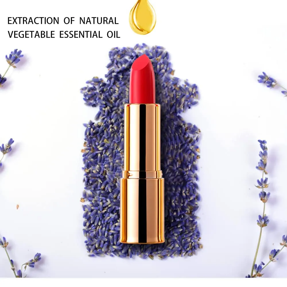 Matte Lipstick, 6 Colos Ladies Matte Lipstick Long Lasting Waterproof Velvet Red Lipstick Lip Gloss Set Pigmented Lip Makeup for Girls and Women Gift (04#)