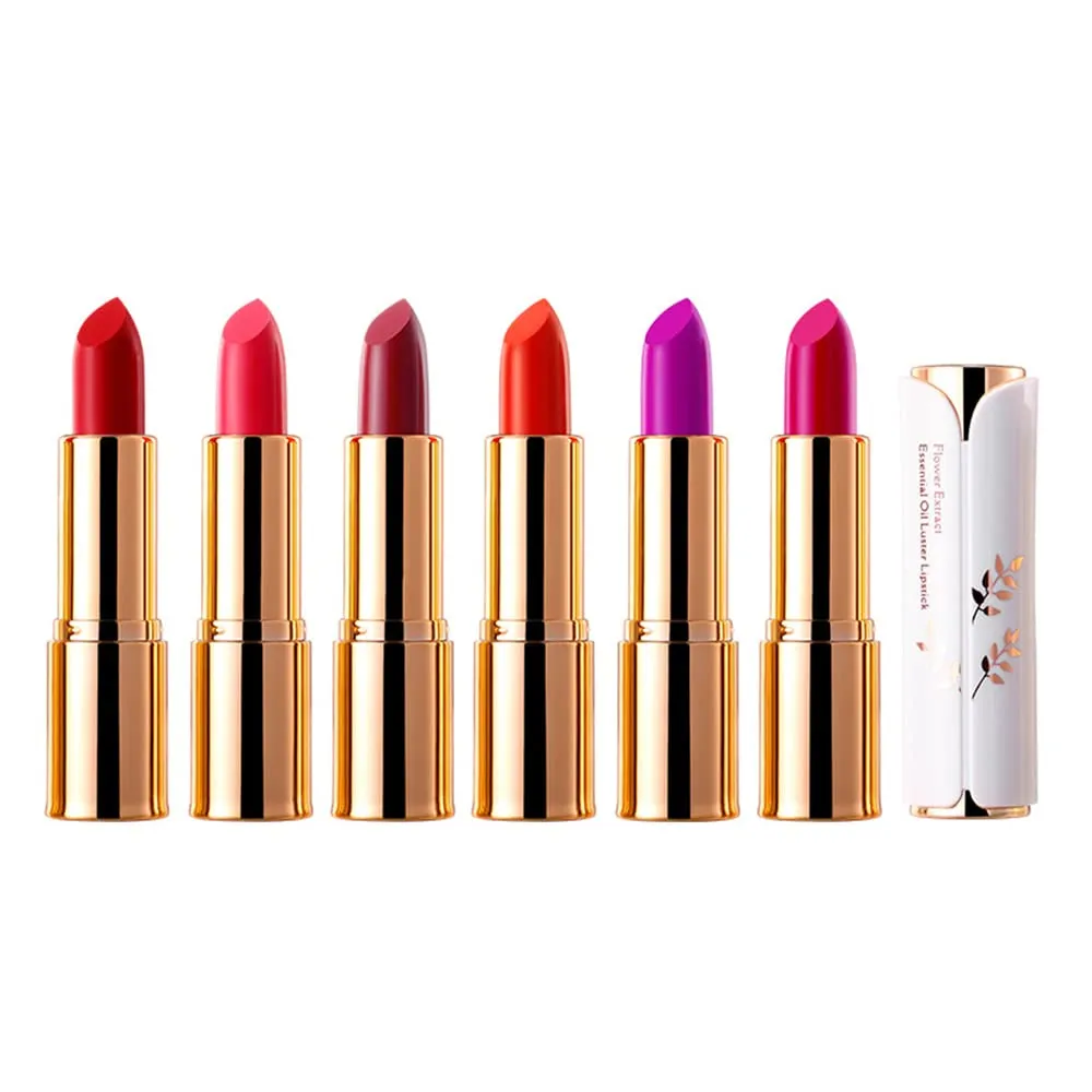 Matte Lipstick, 6 Colos Ladies Matte Lipstick Long Lasting Waterproof Velvet Red Lipstick Lip Gloss Set Pigmented Lip Makeup for Girls and Women Gift (04#)