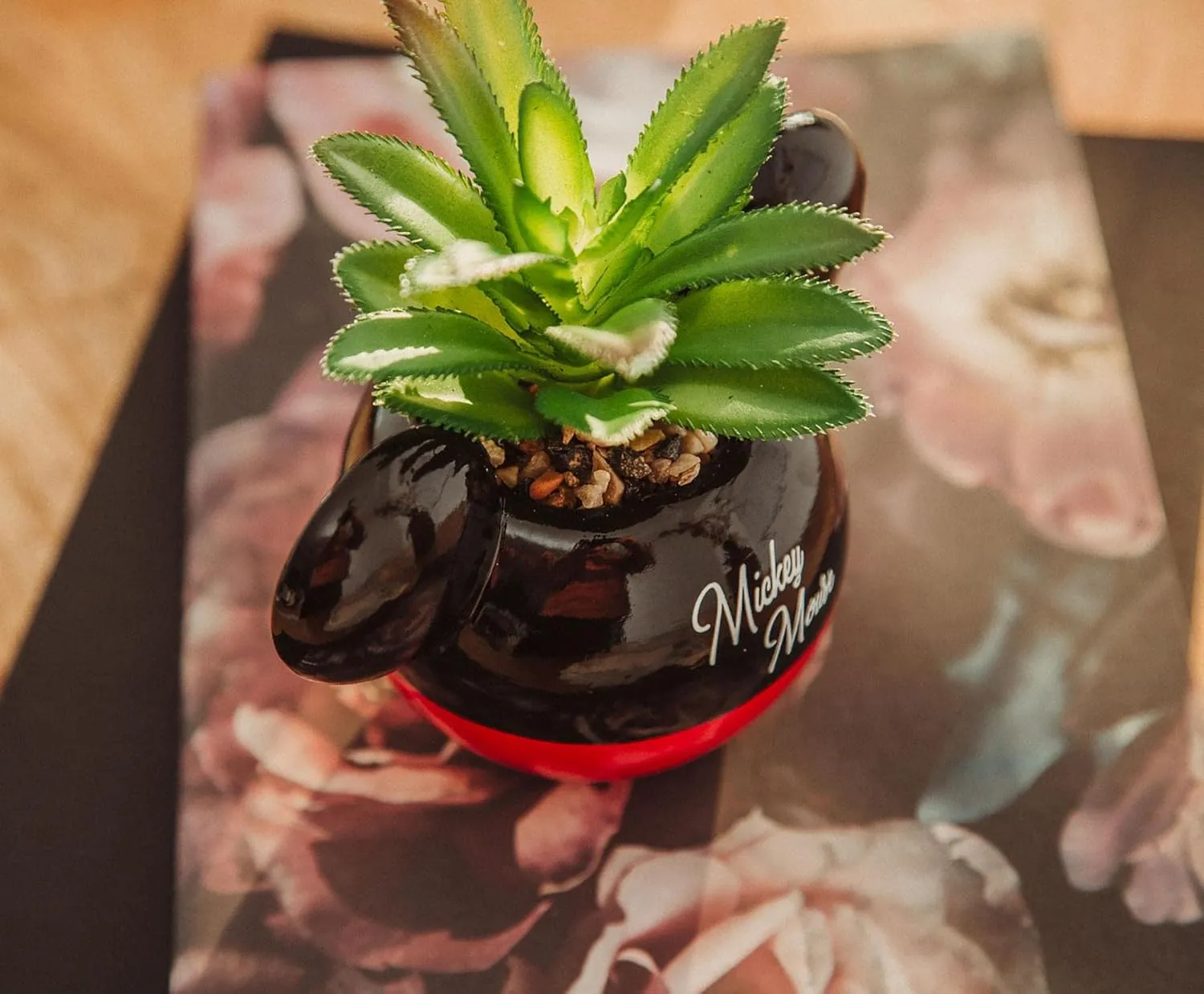 Silver Buffalo Disney Mickey Mouse 3-Inch Ceramic Mini Planter with Artificial Succulent | Small Flower Pot, Faux Indoor Plants for Desk Shelf, Home Decor Trinket Tray and Collectibles