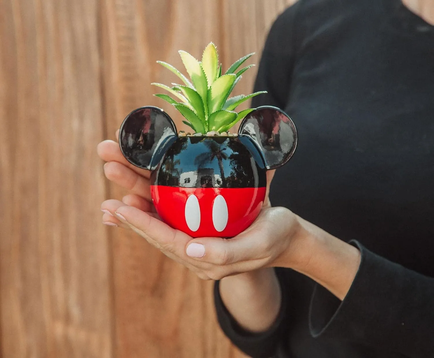 Silver Buffalo Disney Mickey Mouse 3-Inch Ceramic Mini Planter with Artificial Succulent | Small Flower Pot, Faux Indoor Plants for Desk Shelf, Home Decor Trinket Tray and Collectibles
