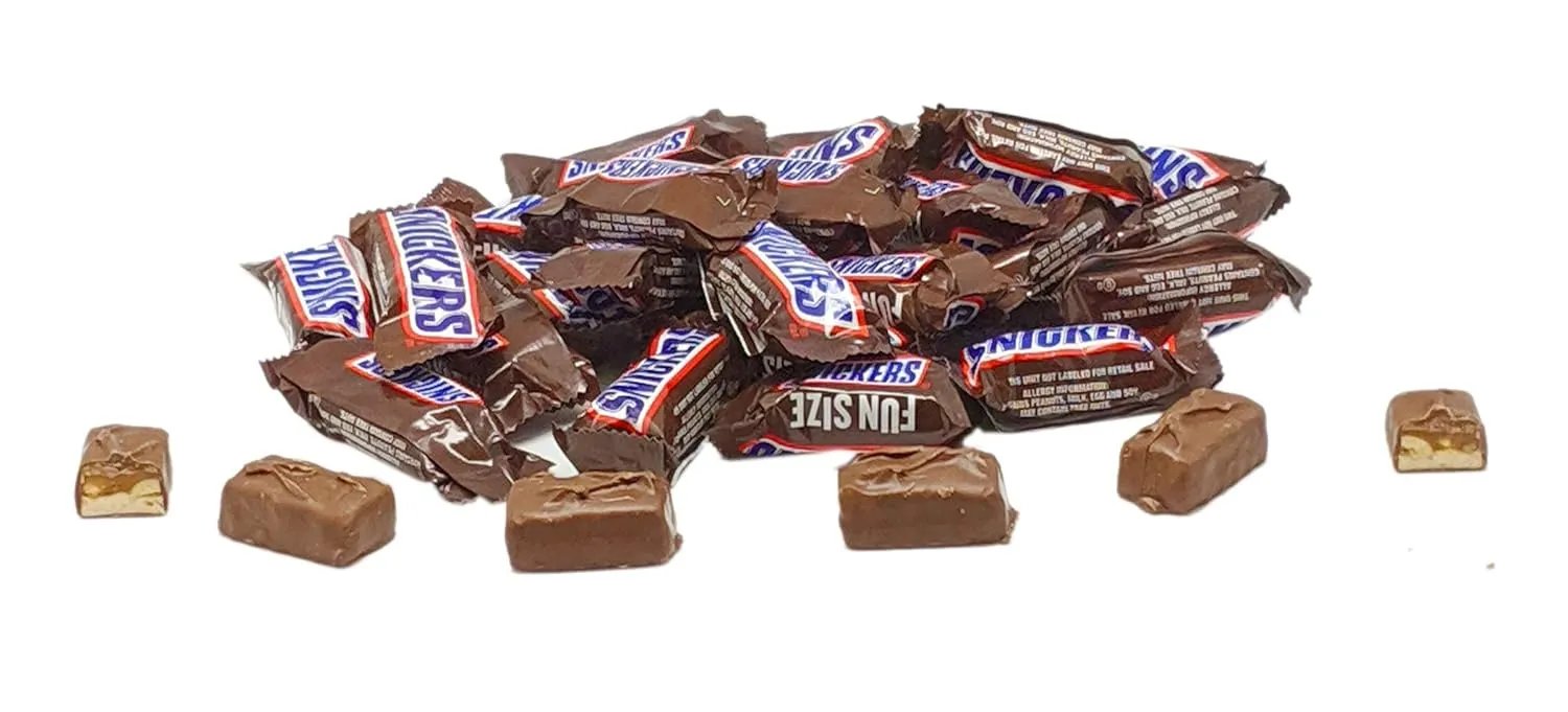 Snickers Fun Size Chocolate Caramel Candy Bars - 1 LB Resealable Stand-Up Bulk Candy Bag (approx. 25 pieces) - Bulk Goodies Perfect for Holiday Events and Party Favors