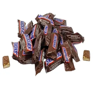 Snickers Fun Size Chocolate Caramel Candy Bars - 1 LB Resealable Stand-Up Bulk Candy Bag (approx. 25 pieces) - Bulk Goodies Perfect for Holiday Events and Party Favors