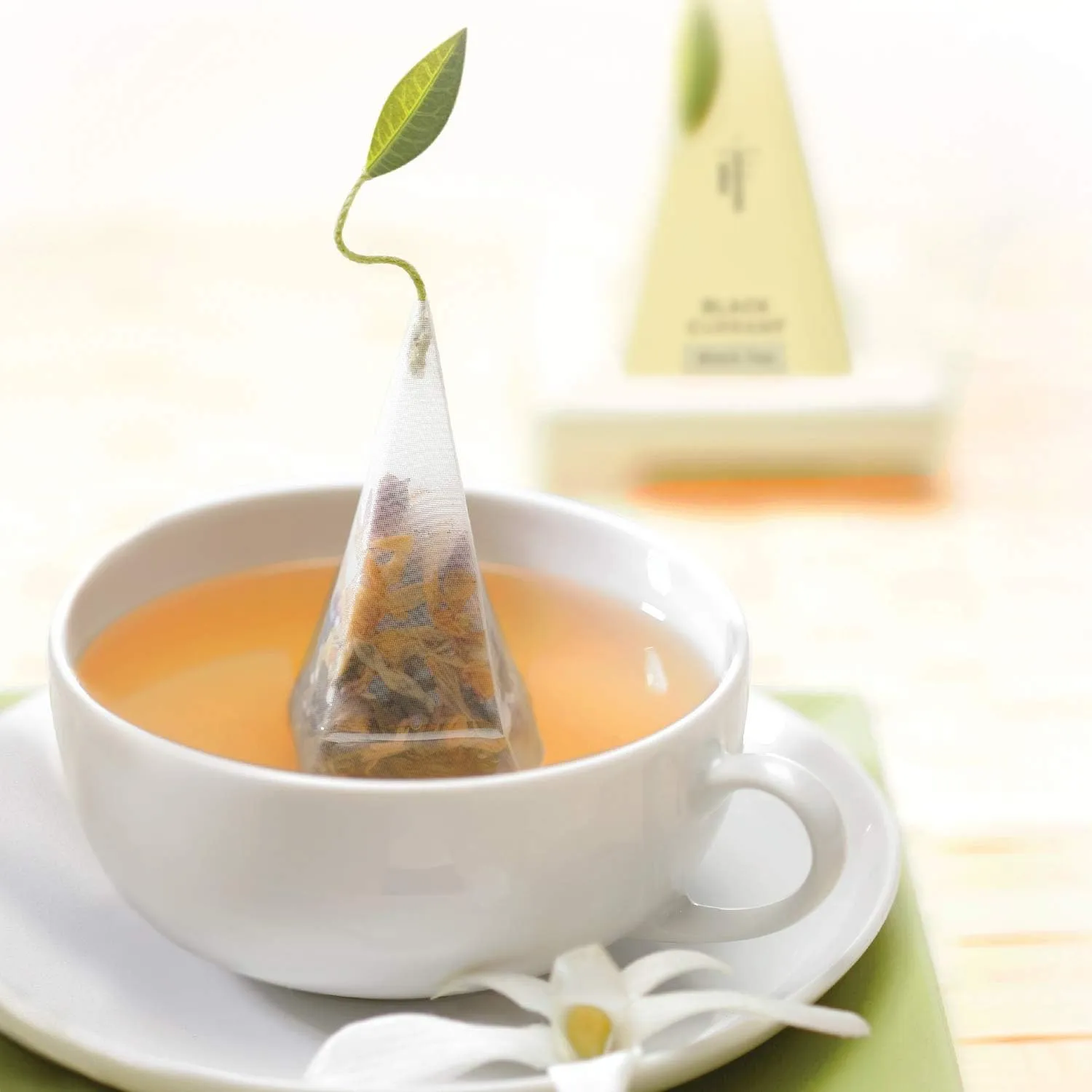 Tea Forte Tea Tasting Assortment Presentation Box Mother's Day Tea Gift Set Sampler, 20 Count 2 of Each Variety Individually Wrapped Handcrafted Pyramid Infuser Bags
